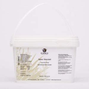 Spier Herstel Paard & Pony 1000 gram - Groene Os
