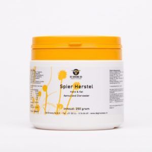 Spier Herstel Hond & Kat 250 gram - Groene Os