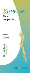 Kiemplant Ulmus Campestris, 100 milliliter