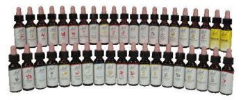 White Chestnut Paardekastanje 20 milliliter - Bach