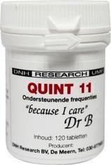 Quint 11 120 tabletten - DNH