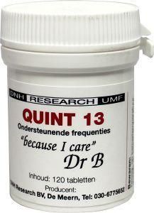 Quint 13 120 tabletten - DNH