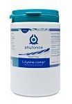 L-Lysine Paard & Pony, 500 gram, Phytonics