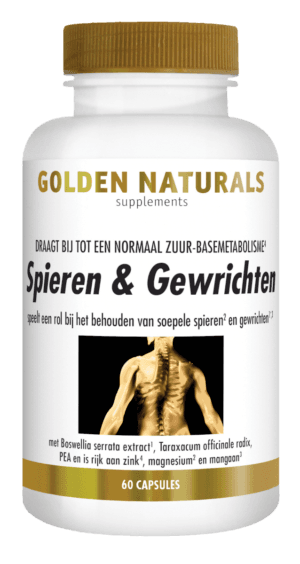 spieren en gewrichten
