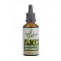 Biologische Argan Olie 50 milliliter - Vitiv