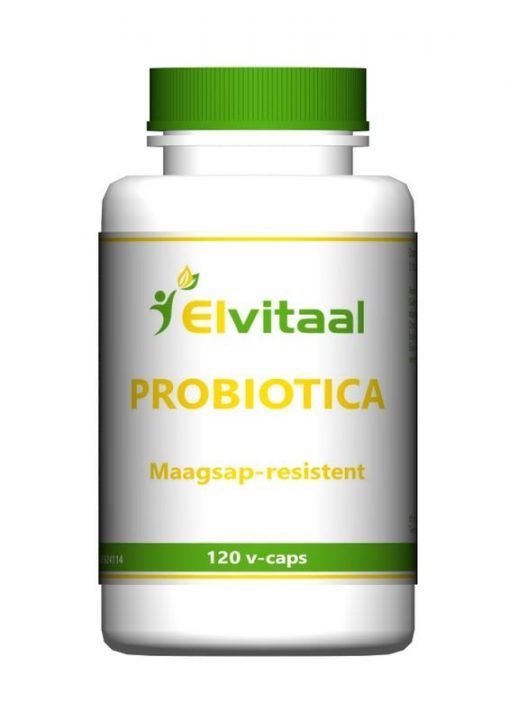 Probiotica Maagsap-Resistent 120vcaps - Elvitaal