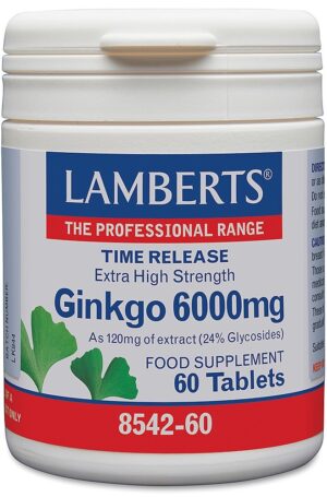 Ginkgo 6000 mg 60 tabletten - Lamberts