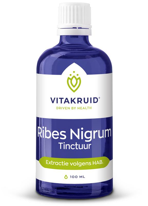 Ribes Nigrum Tinctuur 100 ml - Vitakruid