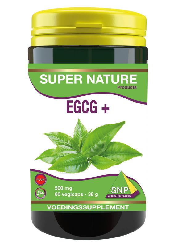 EGCG+ PUUR 60 capsules SNP